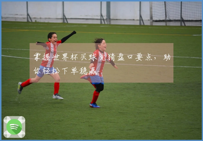 掌握世界杯买球竞猜盘口要点，助你轻松下单稳赢