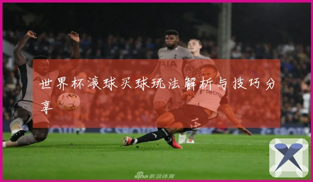 世界杯滚球买球玩法解析与技巧分享