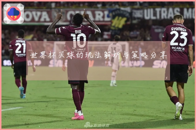 世界杯买球的玩法解析与策略分享