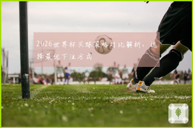 2026世界杯买球策略对比解析，选择最优下注方式