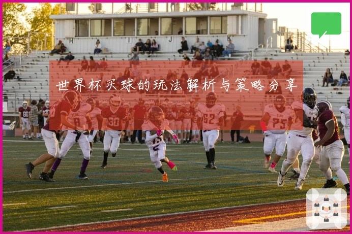 世界杯买球的玩法解析与策略分享