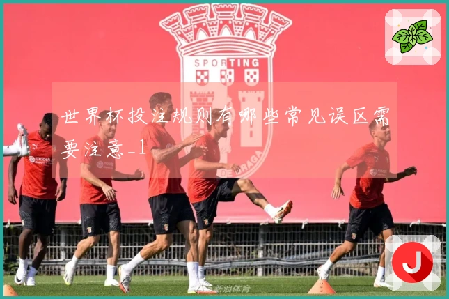 世界杯投注规则有哪些常见误区需要注意_1