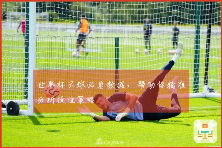 世界杯买球必看数据，帮助你精准分析投注策略